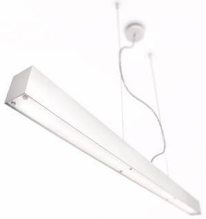 Đèn thả Philips FPG304