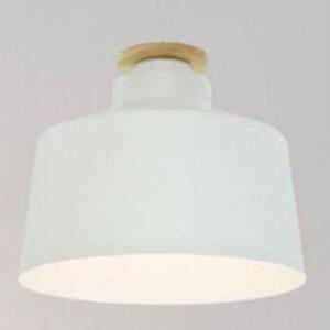 Đèn Thả Trang Trí D1011BWH