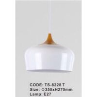 Đèn Thả Trang Trí TS-8228