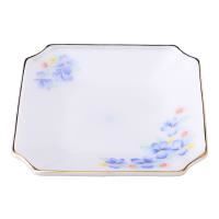 Đĩa Vuông Thuỷ Tinh Opal-USA 450GP