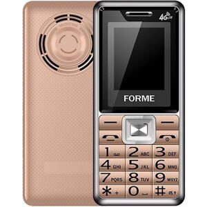 Điện thoại Forme D111 4G