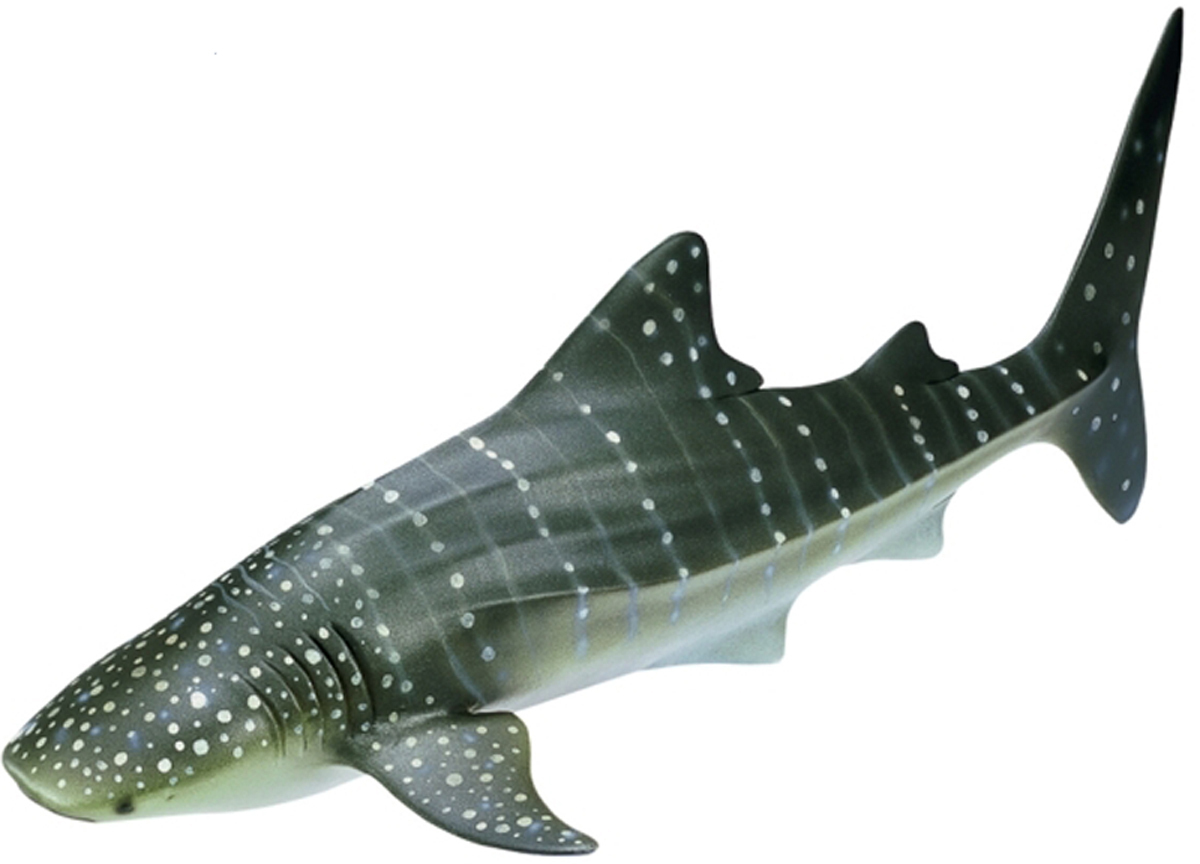 Mô hình chú cá mập voi Schleich 16089