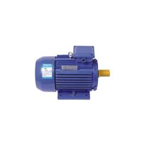 Động cơ (Motor) điện khởi động bằng tụ Asaki AS-606, 1500W/220V