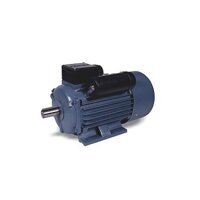 Động cơ (Motor) điện không đồng bộ Asaki AS-484