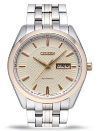 Đồng hồ Citizen Automatic NP4014-54P