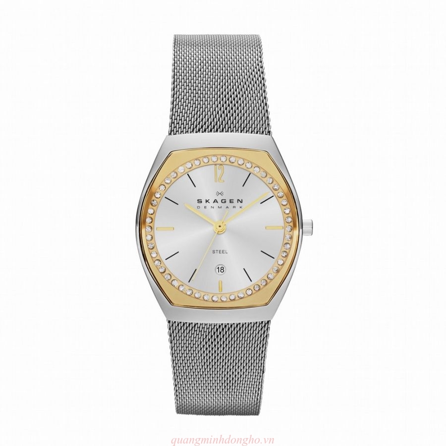 Đồng hồ đeo tay nữ Skagen SKW2050