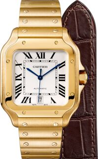 Đồng hồ nam Cartier Santos De Cartier WGSA0009