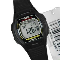 Đồng hồ nam Casio LW-201-1AVDF