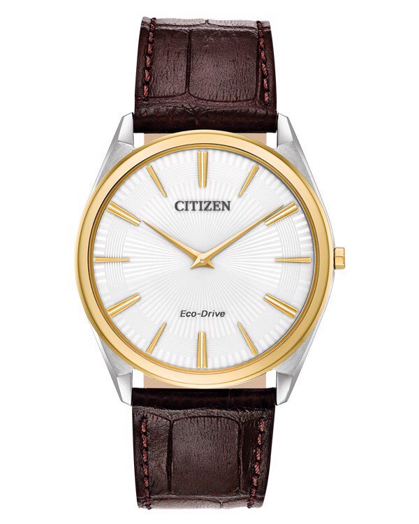 Đồng hồ nam Citizen AR3074-03A