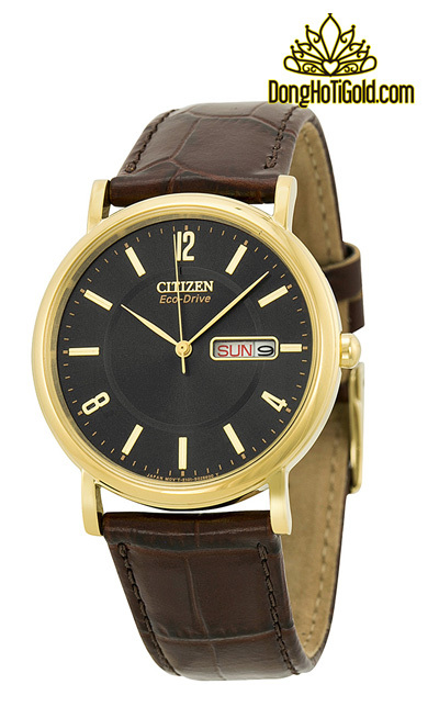 Đồng hồ nam Citizen Ci30