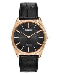 Đồng hồ nam Citizen AR3073-06E