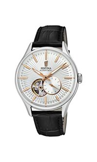 Đồng hồ nam Festina F16975