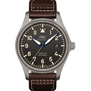 Đồng hồ nam IWC IW327006