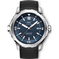 Đồng hồ nam IWC IW329005