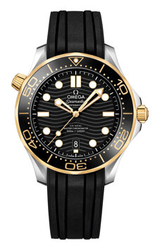 Đồng hồ nam Omega Seamaster 210.22.42.20.01.001
