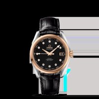 Đồng hồ nam Omega 231.23.39.21.51.001