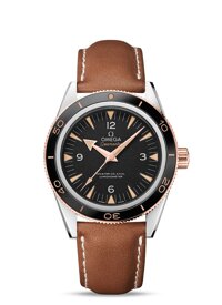 Đồng hồ nam Omega 233.22.41.21.01.002