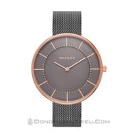 Đồng hồ nam Skagen - SKW2584