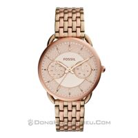 Đồng hồ nữ Fossil ES3955 – Dây Kim Loại