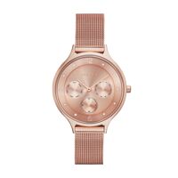 Đồng hồ nữ Skagen SKW2314