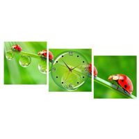 Đồng hồ tranh Bọ đỏ Vicdecor DHT0214