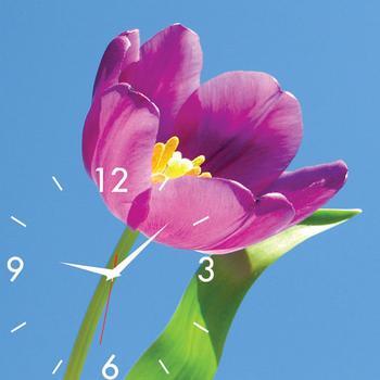 Đồng hồ tranh hoa tulip tím Dyvina-1T3030-14