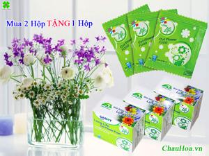 Dưỡng chất cho hoa tươi lâu Long life Israel 1 hộp/10 gói