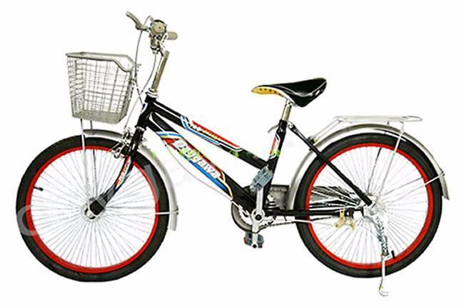 Xe đạp trẻ em Cào Giọt 20 sơn mau 