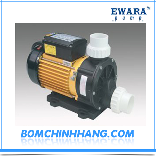 Máy bơm hồ bơi Ewara TDA 150 1.5 HP 