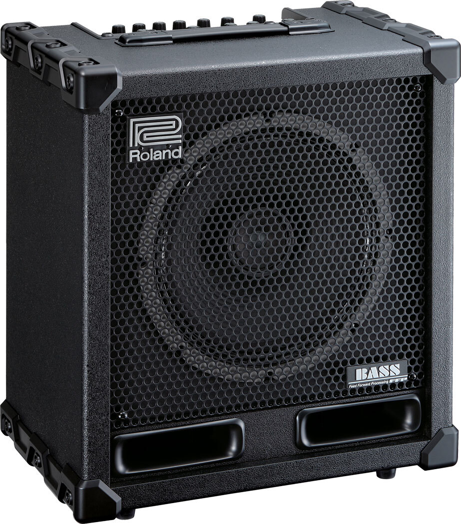 Đàn Roland Bass Cube-120XL 