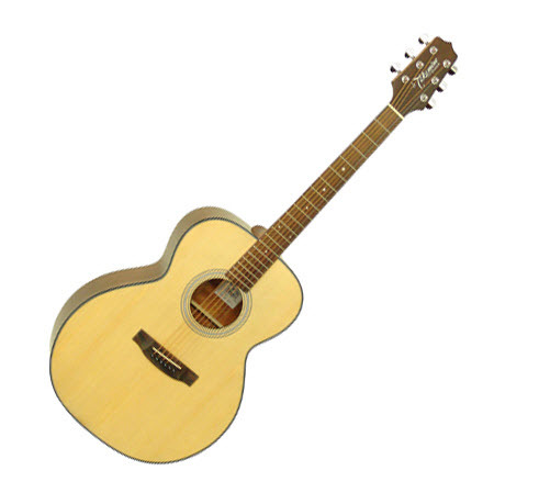 Đàn Acoustic Guitar Takamine D50 
