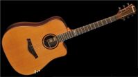 Đàn Guitar Famosa Acoustic FD35CU