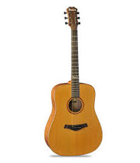 Đàn Guitar Famosa Acoustic FD425C