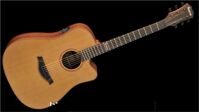 Đàn Guitar Famosa Acoustic FD425CUE