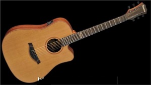 Đàn Guitar Famosa Acoustic FD425CUE
