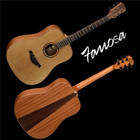 Đàn Guitar Famosa Acoustic FD450C