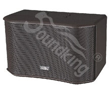 Loa karaoke Soundking SK12