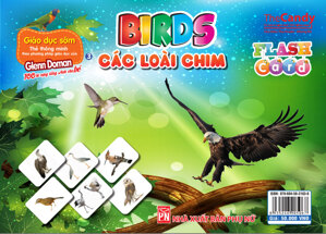 Flashcard Dạy Trẻ Theo Phương Pháp Glenn Doman - Các Loài Chim