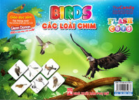 Flashcard Dạy Trẻ Theo Phương Pháp Glenn Doman - Các Loài Chim