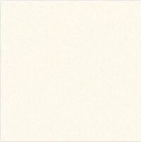 Gạch 1mx1m VITTO ĐT 10602