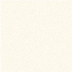 Gạch 1mx1m VITTO ĐT 10602