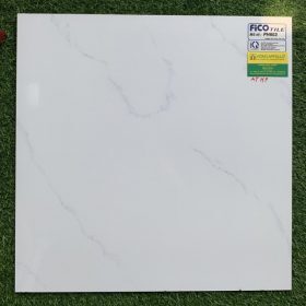 Gạch 60x60 PH603