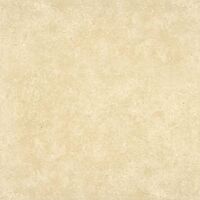 Gạch American Home 25x25cm WMSE266