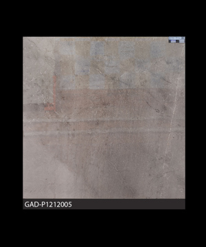 Gạch Ấn Độ 1200mm*1200mm GAD-P1212005