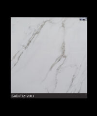 Gạch Ấn Độ 1200mm*1200mm GAD-P1212003