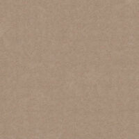 Gạch Bạch Mã 60x60 MR60004