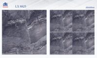 Gạch CMC 80×80 LX 8825