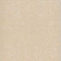 Gạch Đồng Tâm 100x100 DB016-NANO