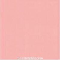 Gạch Đồng Tâm 105x150 0504