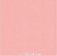 Gạch Đồng Tâm 105x150 0504